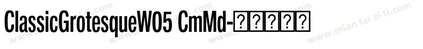 ClassicGrotesqueW05 CmMd字体转换
